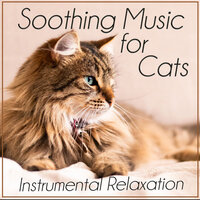 Kitten Relaxation Music - RelaxMyCat & Cat Music Dreams