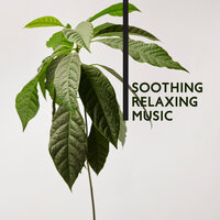 Music to Calm Nerves - Serenity Music Relaxation