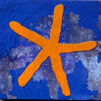 Dark Star - Fish