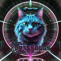 Soul Vibrations - Cats N' Dogs