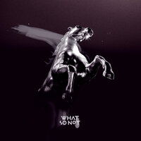 Stuck In Orbit - What So Not & Buoy