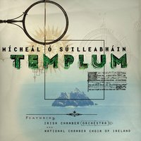 Seachtain - Micheal O Suilleabhain & Irish Chamber Orchestra & National Chamber Choir Of Ireland