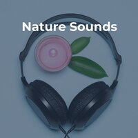 Water Sounds (Reduce Stress) - Sleep 'n' Sleep