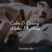 Peaceful - Water Soundscapes & Natural Sounds & Deep Sleep Systems