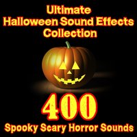Maggots Eating Flesh 1 - Dr. Sound Effects