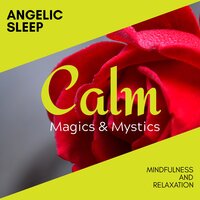 Binaural Magnets - Relaxing Minds