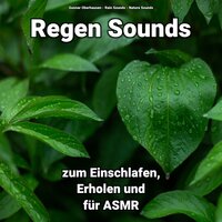 Frei sein im Hier - Gunnar Oberhausen & Rain Sounds & Nature Sounds