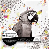 My Reaction - Digital Project & Nico Cabeza