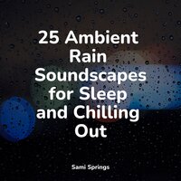 Evening Rains - It's Raining & Yoga Sounds & Ambientalism