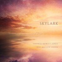 Skylark - Thomas Hewitt Jones & Matthew Denton