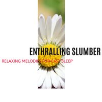 Divine Feeling - Massage Music