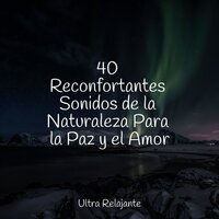 Soñadora - Lluvia Relajante & Yoga Para Ninos & Música Instrumental Maestro