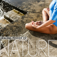 Meditation Zen Therapy - Relaxing Zen Music Therapy & Healing Power Natural Sounds Oasis