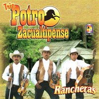Pena Tras Pena - Trio Potro Zacualtipense