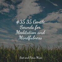 Rose Wreath - The Relaxation Principle & The White Noise Zen & Meditation Sound Lab & Anxiety Relief