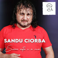 Este trist mereu baietelul meu - Sandu Ciorba