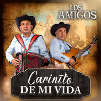 Mujer Paseada - Los Amigos