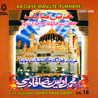 Apne Roze Ki Jali - Alhaj M. Owais Raza Qadri