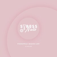 Passion Fruit - Dj Nelson & Stress Nut