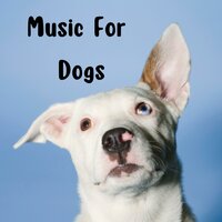 Tranquil Calm Music - Music for Dogs & Music for Dogs Peace & Relaxing Puppy Music & Calm Pets Music Academy
