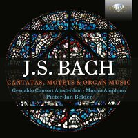 Cantata Ein Feste Burg ist Unser Gott, BWV 80: VII. Aria Wie selig sind doch die, die Gott im Munde tragen - Gesualdo Consort Amsterdam & Musica Amphion & Pieter-Jan Belder & Johann Sebastian Bach