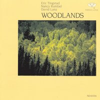 Sequoia - David Lanz & Eric Tingstad & Nancy Rumbel