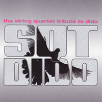Hunter - Vitamin String Quartet
