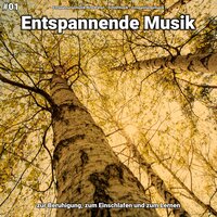 Entspannende Musik pt. 30 - Entspannungsmusik Nino Pallen & Schlafmusik & Entspannungsmusik