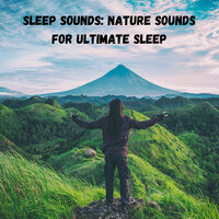 Ground Tone Forest - Miracle Tones & Spa & Calm music