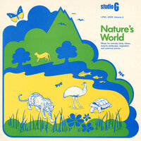 Bird Sanctuary - Studio G