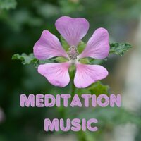 Tranquil Whispers - Meditation & Meditation Music & Meditation Music Tracks & Balanced Mindful Meditations