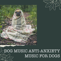 Calming Situation - Anti Anxiety Music for Dogs & Music for Pets Library & Jazz Music Therapy for Dogs