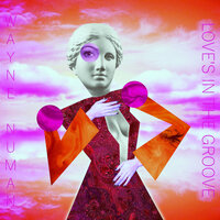 Love's In The Groove - Wayne Numan