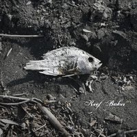 Begin Again, Pt. 2 - Keef Baker