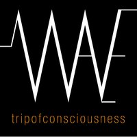 Serendipity - Wave