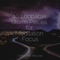White Noise Rain Drops - Music For Absolute Sleep & Sleep Music System & The White Noise Zen & Meditation Sound Lab