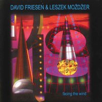 Through the Night - David Friesen