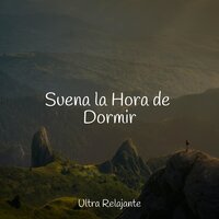 Todo Está Tranquilo - Academia de Música para Massagem e Relaxamento & Lluvia PQ & Canciones de Cuna 101