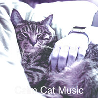 Funky Ambiance for Kittens - Calm Cat Music