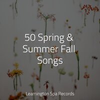 Soothing Winds - Spa Music Collective & Deep Sleep FX & Especialistas de Musica para Dormir