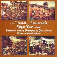 Concert nr. 1 part 2 in E Major, RV 269 - Mircea Cristescu & Stefan Ruha & Orchestra de cameră a Filarmonicii din Cluj-Napoca & Антонио Вивальди