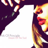 Alike Corrosion - Ark Of Principle