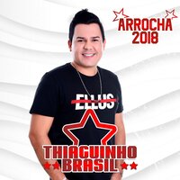 Totalmente Sozinho - Thiaguinho Brasil