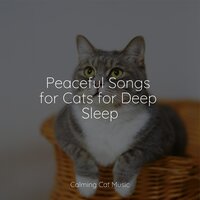 Tone of Silence - Jazz Music Therapy for Cats & Music for Cats Project & Cat Music