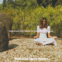 Debonair Moods for Prana - Meditation Music Playlist
