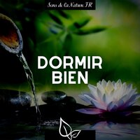 Trouver le calme - Ambiances pluvieuses - Sons de la Nature FR