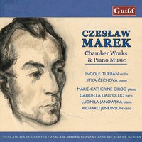 Sonata for violin and piano, Op. 13: I. Allegro moderato - Ingolf Turban & Jitka Čechová