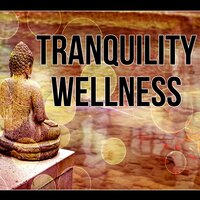 Therapeutic Massage - Amazing Spa Universe