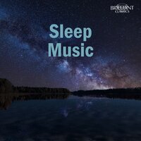 Strings of Heaven - Borika Van Den Booren & Berliner Symphoniker & Eduardo Marturet & Иоганнес Брамс