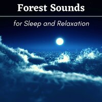 Quickly and Deeply - Sleep Songs Divine